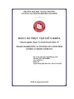 Trade Marketing Activities Of Consumer Goods At Dksh Company.pdf