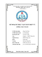 1 2 vi linh pl2 kế hoạch thực tập toàn Đợt&từng tuần