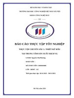 TTTN- TTSXDV ( CHUYEN SAU THIET KE MAU