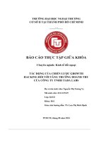 Tác Động Của Chiến Lược Growth Hacking Đối Với Tăng Trưởng Doanh Thu Của Công Ty Tnhh Tada Labs.pdf