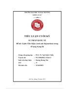 Đề tài lệnh cấm kiện (anti suit injunction) trong tố tụng trọng tài