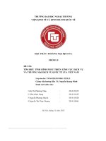Tìm hiểu tình hình phát triển lĩnh vực dịch vụ và thương mại dịch vụ quốc tế của việt nam