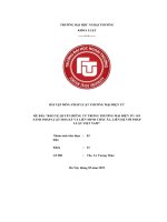 Tiểu luận môn  pháp luật thương mại Điện tử   so sánh quyền riêng tư việt mỹ euđề bài bảo vệ quyền riêng tư trong thương mại Điện tử so sánh pháp luật hoa kỳ và liên minh châu Âu, liên hệ với pháp luật việt nam