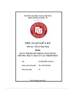 Quản Trị Rủi Ro Trong Ngân Hàng Thương Mại Và Đại Án Vạn Thịnh Phát.pdf