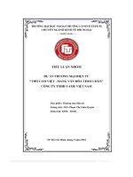 Tiểu Luận Nhóm Dự Án Thương Mại Điện Tử “Thổ Cẩm Việt - Mang Văn Hóa Theo Chân” Công Ty Tnhh Yame Việt Nam.pdf