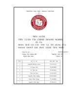 Phân tích cơ cấu vốn và tín dụng củamasan group khi phát hành trái phiếu