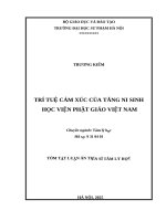 Tóm tắt: Trí tuệ cảm xúc của Tăng Ni sinh Học viện Phật giáo Việt Nam