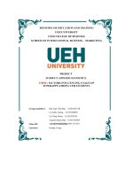 Topic factors influencing usage of superapps among ueh students