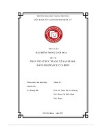 Tiểu luận bảo hiểm trong kinh doa Đề tài phân tích thực trạng về sản phẩm