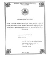 Đánh giá tình hình sử dụng Đất nông nghiệp làm cơ sở Đề xuất một số mô hình sử dụng Đất hiệu quả, bền vững trên Địa bàn xã cát hiệp, huyện phù cát, tỉnh bình Định