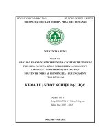 Khảo sát khả năng sinh trưởng và các bệnh thường gặp trên heo con lai yorkshire x landrace và landrace x yorkshire từ sơ sinh Đến cai sữa tại trang trại nguyễn thị nhẫn Ấp chính nghĩa, huyện cẩm mỹ, tỉnh Đồng nai