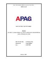 Báo cáo thực tập tốt nghiệp Tổ chức và hoạt động của Tòa án nhân dân thành phố Hạ Long, tỉnh Quảng Ninh