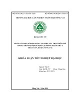 Khảo sát một số biện pháp can thiệp lấy thai trên chó trong trường hợp Đẻ khó tại phòng khám thú y thái toàn, bà rịa vũng tàu