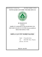 Nghiên cứu Ảnh hưởng của bap (6 benzyl aminopurine), iba (indole 3 butyric acid) Đến sự nhân chồi và iba Đến sự ra rễ tới cây cát tường (eustoma grandiflorum) bằng phương pháp nuôi cấy mô tế bào