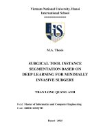00051000974 surgical tool instance segmentation based on deep learning for minimally invasive surgery