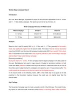 Unit 1 -  Weekly mega campaign report