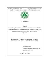 Khảo sát sự Ảnh hưởng của tỷ lệ protein, lysine và năng lượng Đến năng xuất gà thịt ross 308 từ 1 Đến 39 ngày tuổi tại trại thực nghiệm công ty chăn nuôi cp việt nam