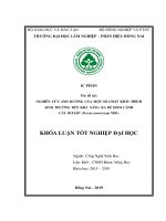 Nghiên cứu Ảnh hưởng của một số chất kích thích sinh trưởng Đến khả năng ra rễ hom cành cây bơ (persea americana mill )