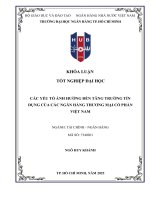 Các yếu tố tác Động Đến tăng trưởng tín dụng của các ngân hàng thương mại cổ phần việt nam