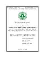 Nghiên cứu Ảnh hưởng của chất Điều hòa sinh trưởng thực vật lên sự nhân chồi và ra rễ của cây sâm phú yên abelmoschus sagittifolius (kurz) merr