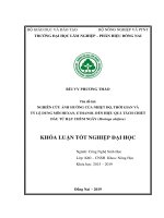 Nghiên cứu Ảnh hưởng của nhiệt Độ thời gian và tỷ lệ dung môi hexan, ethanol Đến hiệu quả tách chiết dầu từ hạt chùm ngây (moringa oleifera)
