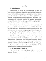 BC môn MKT căn bản - Phân tích hoạt động marketing mix của Tập đoàn Trung Nguyên Legend