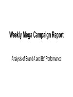 Unit 2 - weekly mega campaign report -Presentation