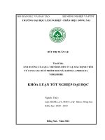Theo dõi thời gian Đẻ của heo nái và Ảnh hưởng của quá trình Đẻ Đến tỷ lệ mắc bệnh viêm tử cung sau Đẻ Ở trại phước bình 1, tỉnh Đồng nai