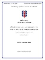 Các yếu tố tác Động Đến rủi ro tín dụng của các ngân hàng thương mại việt nam (2)