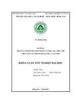 Khảo sát bệnh viêm ruột do parvovirus trên chó tại phòng khám thú y cao thọ   trảng bom Đồng naikhảo sát bệnh viêm ruột do parvovirus trên chó tại phòng khám thú y cao thọ   trảng bom Đồng nai