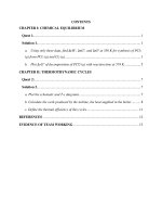 Physical chemistry exercise 2 (chemical equilibrium and thermodynamics)
