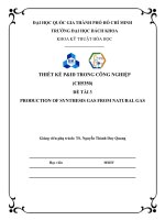 Đồ án môn học Thiết kế P&ID, Đề tài 3: Production of Syntheses gas from steam methane reforming