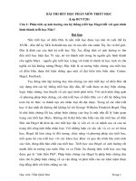 Bài làm cuối kỳ triết