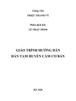 Giáo Trình Hướng Dẫn Chơi Đàn Tam Huyền Cầm Cơ Bản