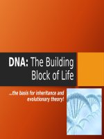 1  dna molecular basis of inheritance