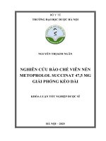 Nguyễn thị kim ngân nghiên cứu bào chế viên nén metoprolol succinat 47,5 mg giải phóng kéo dài khóa luận tốt nghiệp dược sĩ