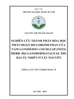 Nguyễn thị thanh thanh nghiên cứu thành phần hóa học phân Đoạn dicloromethan của nấm ganoderma cochlear (nees) merr  họ ganodermataceae thu hái tự nhiên Ở tây nguyên khóa luận tốt nghiệp dược sĩ