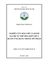 Trịnh Ngọc Minh Dung Nghiên Cứu Bào Chế Và Đánh Giá Hệ Tự Nhũ Hóa Kép Chứa Rutin Ứng Dụng Trong Mỹ Phẩm.pdf