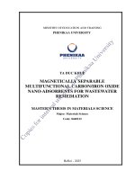 Nghiên cứu chế tạo chất hấp phụ nano oxit sắt cacbon Đa chức năng có thể phân tách từ tính Để xử lý nước thải