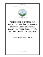Vũ minh châu nghiên cứu tác dụng của dược liệu hẹ kè (haplopteris flexuosa (fée) e h  crane) trong chảy máu Âm Đạo trên mô hình chuột thực nghiệm khóa luận tốt nghiệp dược sĩ