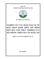 Lê trịnh lan phương nghiên cứu tác dụng bảo vệ tế bào   thần   kinh   trên   mô   hình Đột  quỵ  não  thực  nghiệm  của bài thuốc thiên ma câu Đằng Ẩm khóa luận tốt nghiệp dược sĩ