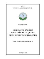 Phạm huệ nhi nghiên cứu bào chế miếng dán thấm qua da chứa diclofenac epolamin khóa luận tốt nghiệp dược sĩ