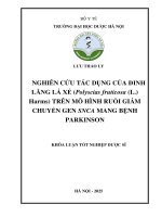 Lưu thảo ly nghiên cứu tác dụng của Đinh lăng lá xẻ (polyscias fruticosa (l ) harms) trên mô hình ruồi giấm chuyển gen snca mang bệnh parkinson khóa luận tốt nghiệp dược sĩ
