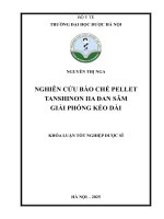 Nguyễn thị nga nghiên cứu bào chế pellet tanshinon iia Đan sâm giải phóng kéo dài khóa luận tốt nghiệp dược sĩ
