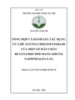 Nguyễn Anh Chi Tổng Hợp Và Đánh Giá Tác Dụng Ức Chế Acetylcholinesterase Của Một Số Dẫn Chất Butanamid Mới Mang Khung Naphthalen-2-Yl Khoá Luận Tốt Nghiệp Dược Sĩ.pdf