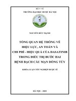 Nguyễn Đức mạnh tổng quan hệ thống về hiệu lực, an toàn và chi phí   hiệu quả của dasatinib trong Điều trị bước hai bệnh bạch cầu mạn dòng tủy khóa luận tốt nghiệp dược sĩ