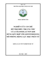 Thái Chính Tâm Nghiên Cứu Cơ Chế Hỗ Trợ Điều Trị Ung Thư Của Colossolacton Khi Dùng Kết Hợp Với Gefitinib Bằng Mô Phỏng Động Lực Học Phân Tử Khóa Luận Tốt Nghiệp Dược Sĩ.pdf