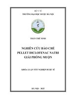 Trần thế ninh nghiên cứu bào chế pellet diclofenac natri giải phóng muộn khóa luận tốt nghiệp dược sĩ