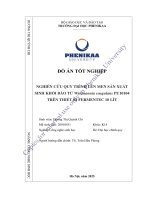 Nghiên cứu quy trình lên men sản xuất sinh khối bào tử weizmannia coagulans pu10104 trên thiết bị fermentec 10 lít