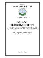 Chu thị hương thảo xây dựng phương pháp Định lượng nguyên liệu carbocistein lysin khóa luận tốt nghiệp dược sĩ